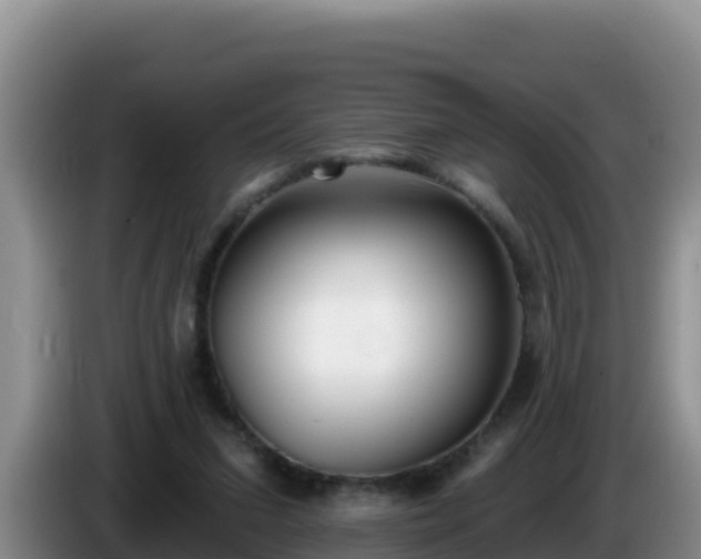 X0000086250207200704051248