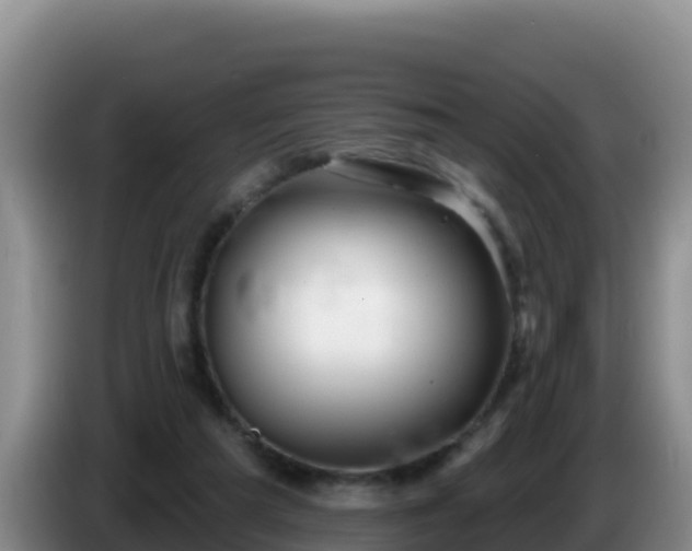 X0000086250209200704051248