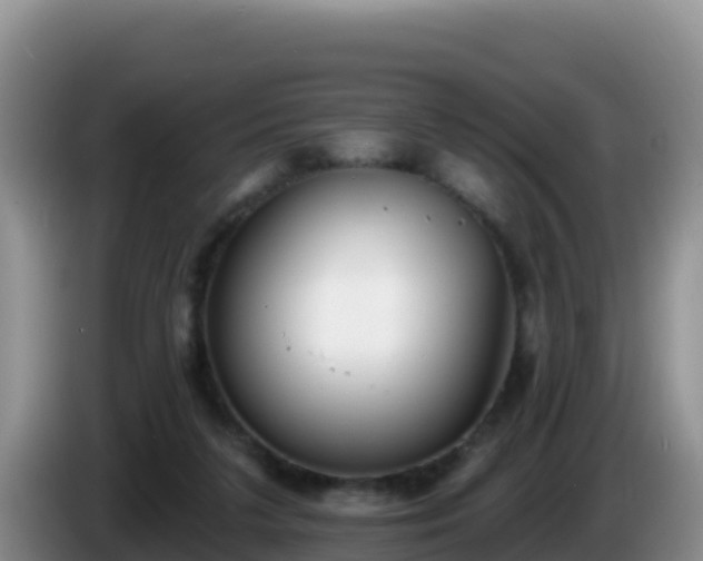 X0000086250211200704051248