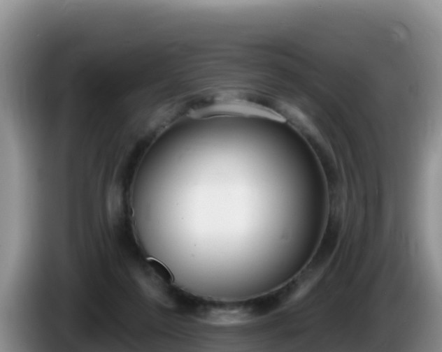 X0000086250213200704051248