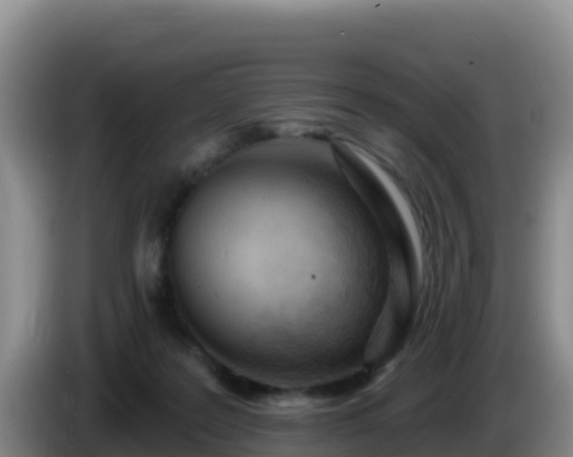 X0000086250219200704051248