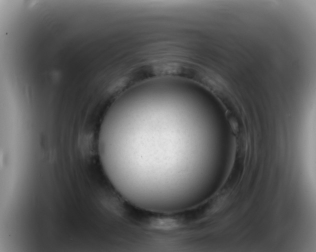 X0000086250224200704051248