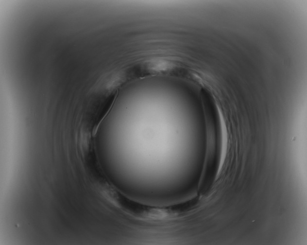 X0000086250227200704051248