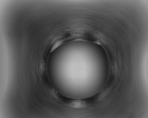 X0000086250231200704051248