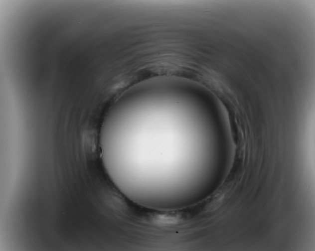 X0000086250232200704051248