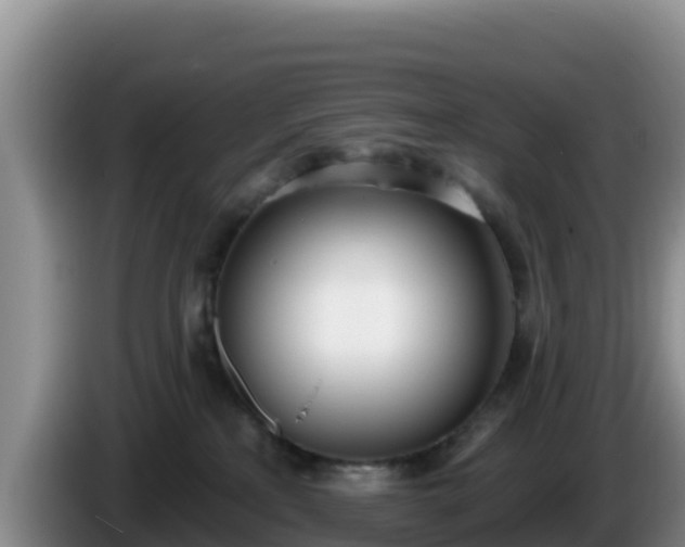 X0000086250233200704051247