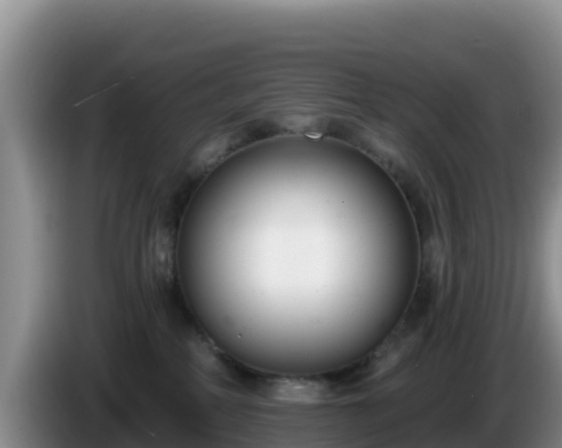 X0000086250234200704051247