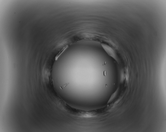 X0000086250235200704051247