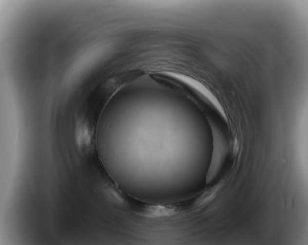 X0000086250239200704051247