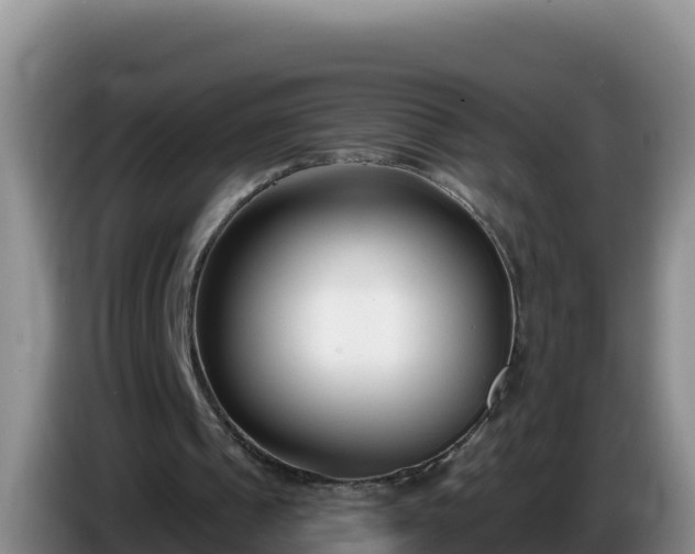 X0000086250241200704051247