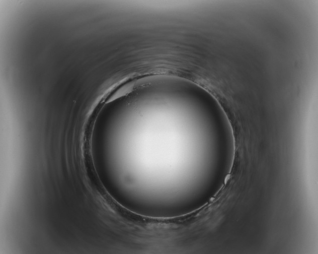 X0000086250242200704051247