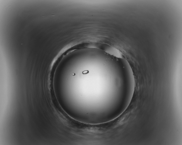 X0000086250244200704051247