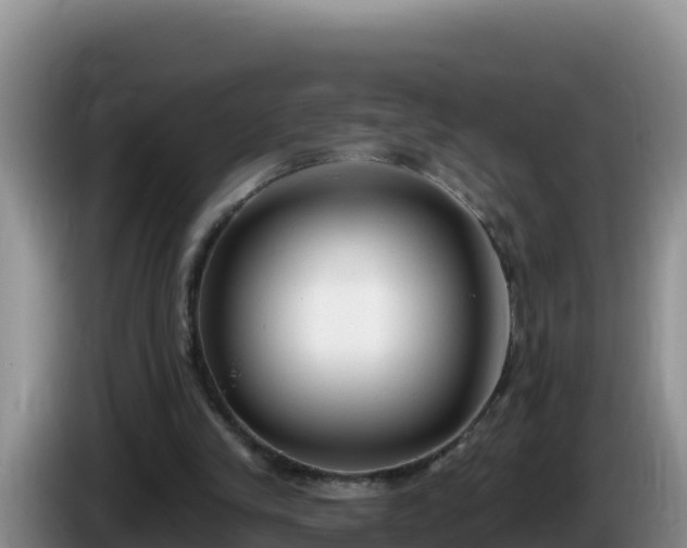 X0000086250245200704051247