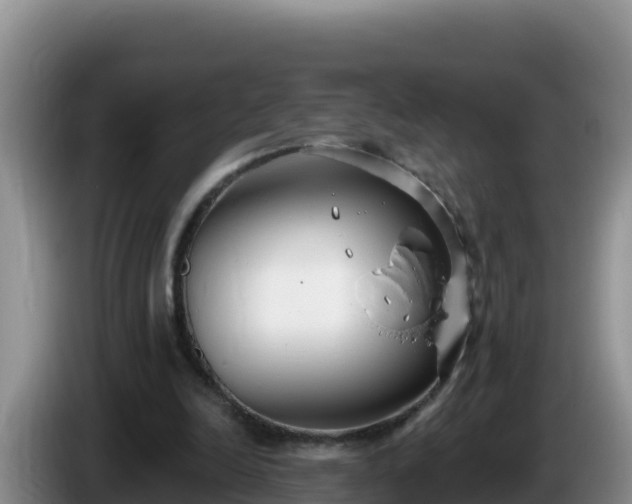 X0000086250246200704051247