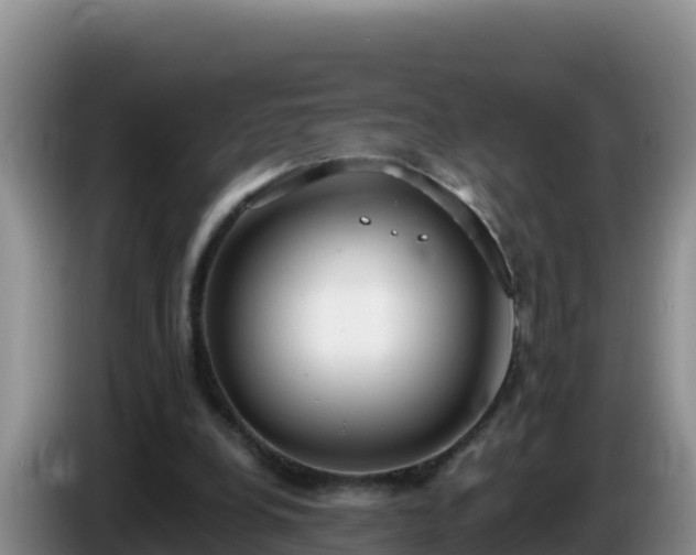 X0000086250248200704051247