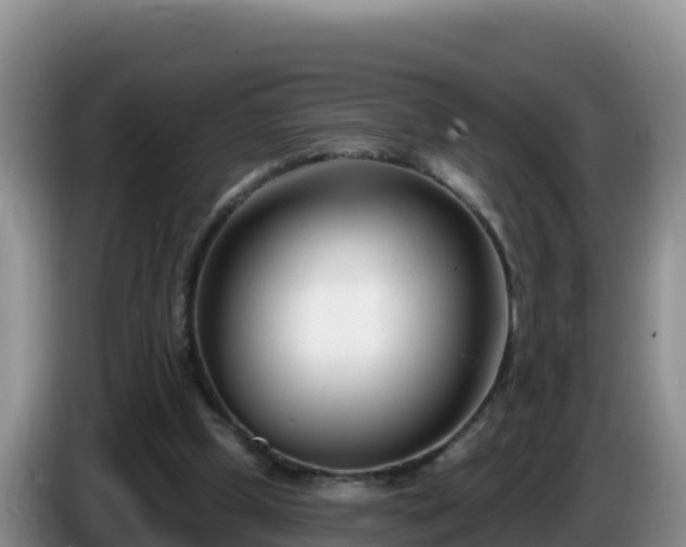 X0000086250249200704051247