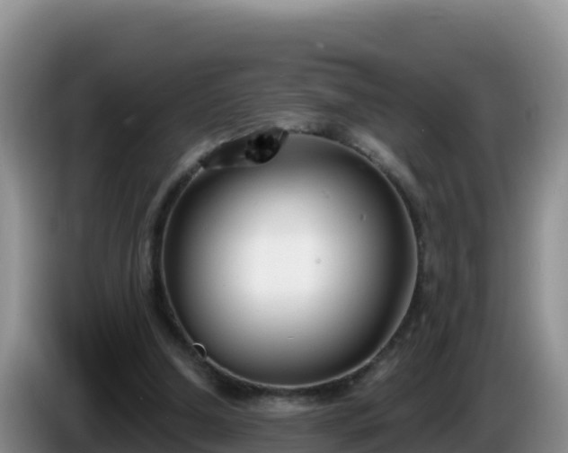 X0000086250250200704051247