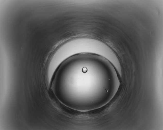 X0000086250252200704051247