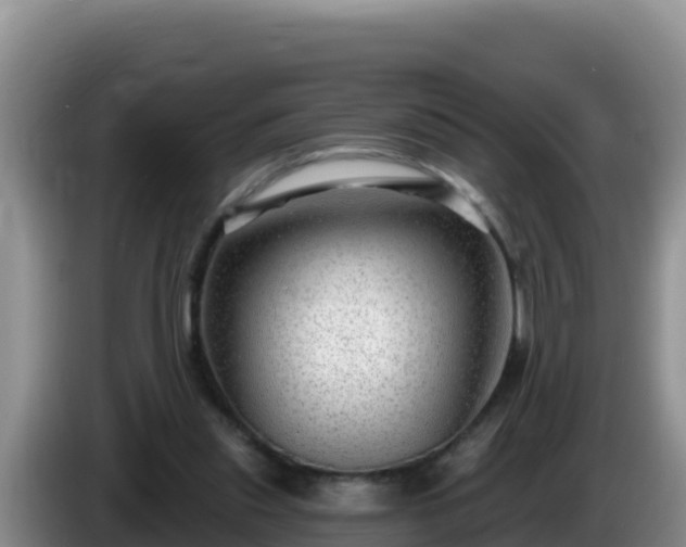 X0000086250253200704051247