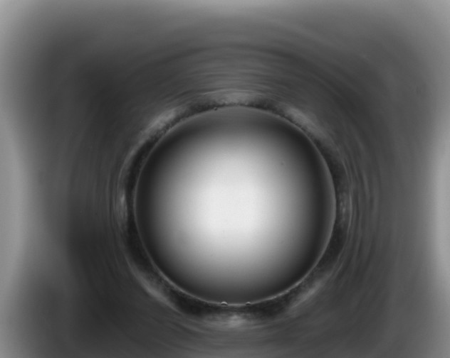 X0000086250254200704051247