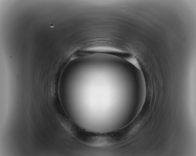 X0000086250255200704051247