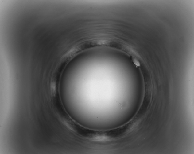 X0000086250262200704051247