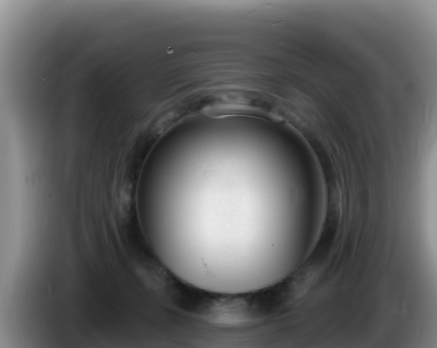 X0000086250271200704051247