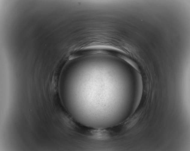 X0000086250273200704051247