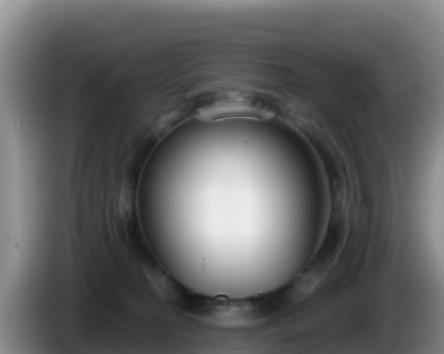 X0000086250274200704051247