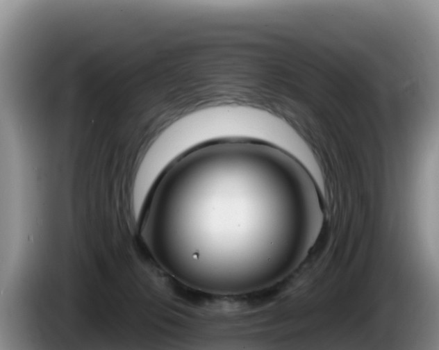 X0000086250276200704051247