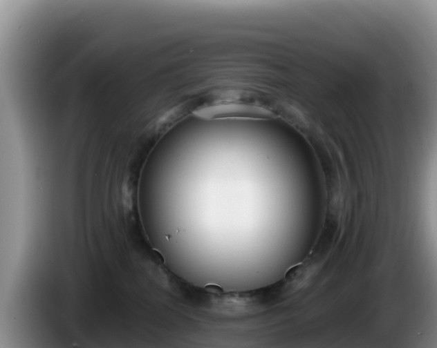 X0000086250282200704051247