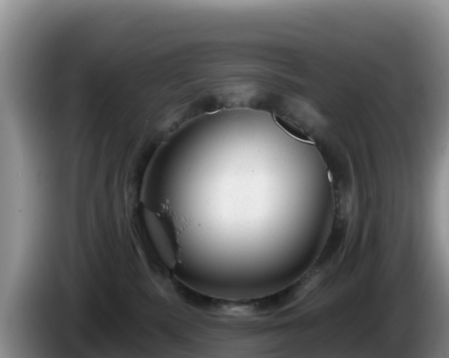 X0000086250283200704051247