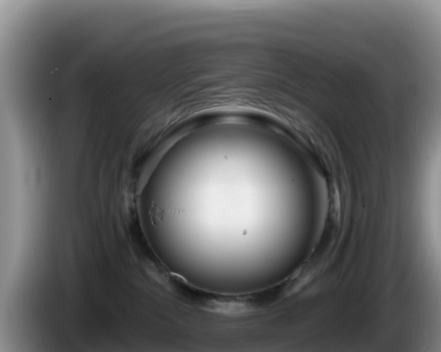 X0000086250284200704051247