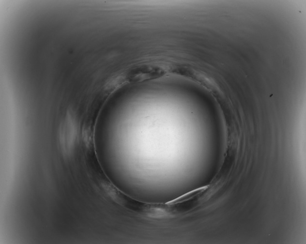 X0000086250285200704051247