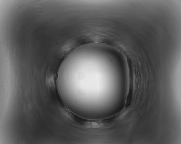 X0000086250286200704051247