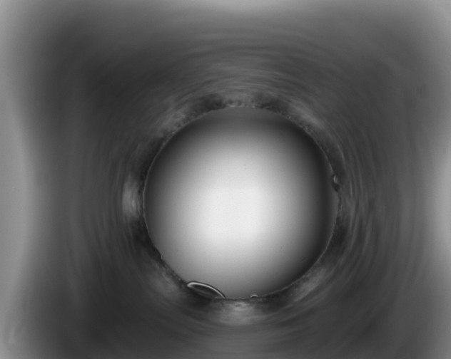 X0000086250287200704051247