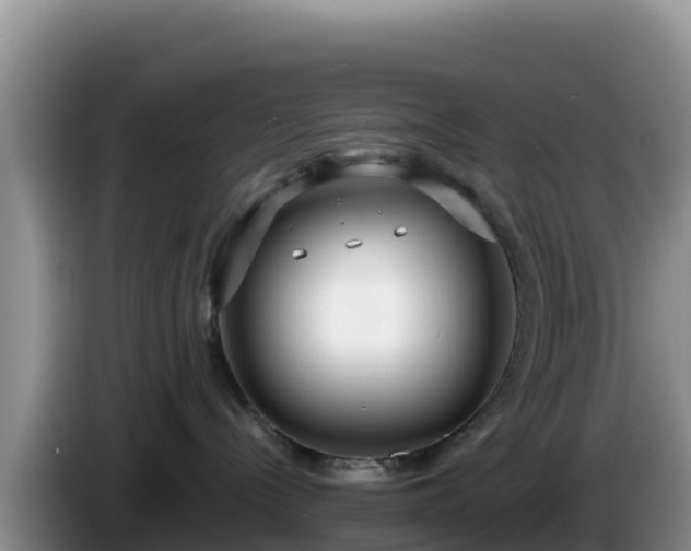 X0000086250288200704051247
