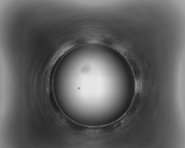 X0000086250291200704051247