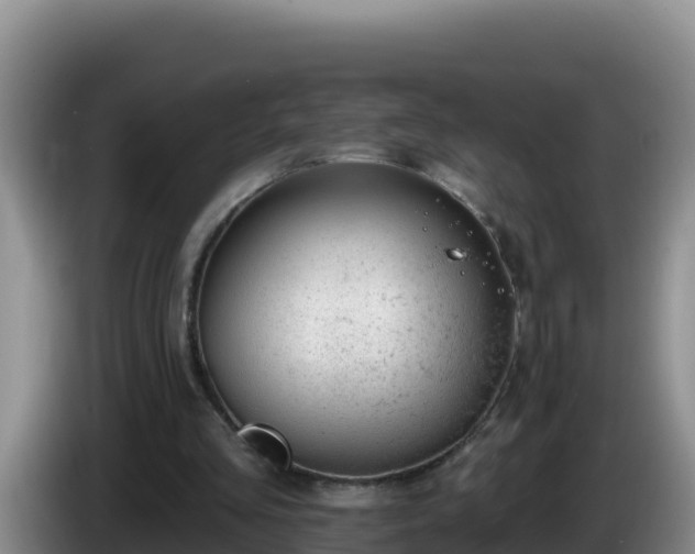 X0000086250293200704051247