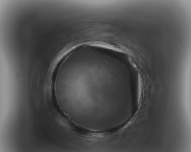 X0000086250295200704051247