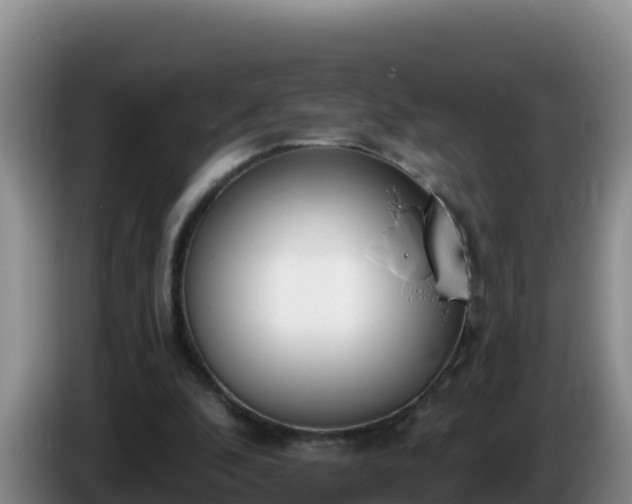 X0000086250296200704051247