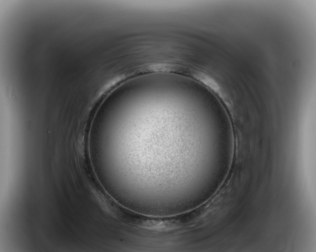 X0000086250297200704051247