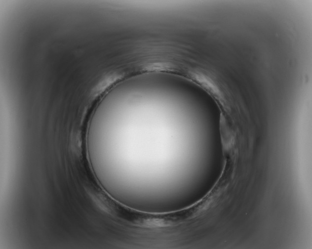 X0000086250298200704051247
