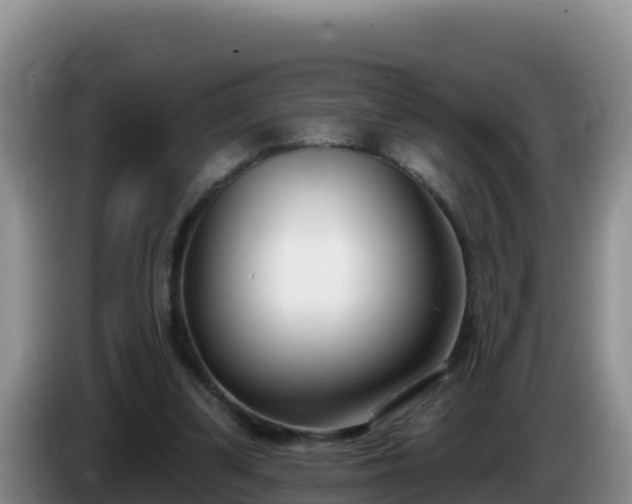 X0000086250299200704051247