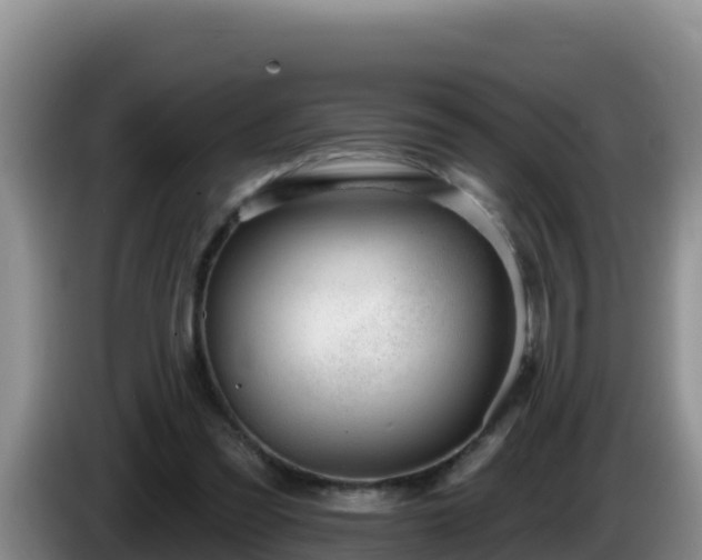 X0000086250301200704051247