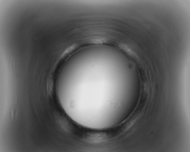 X0000086250304200704051247