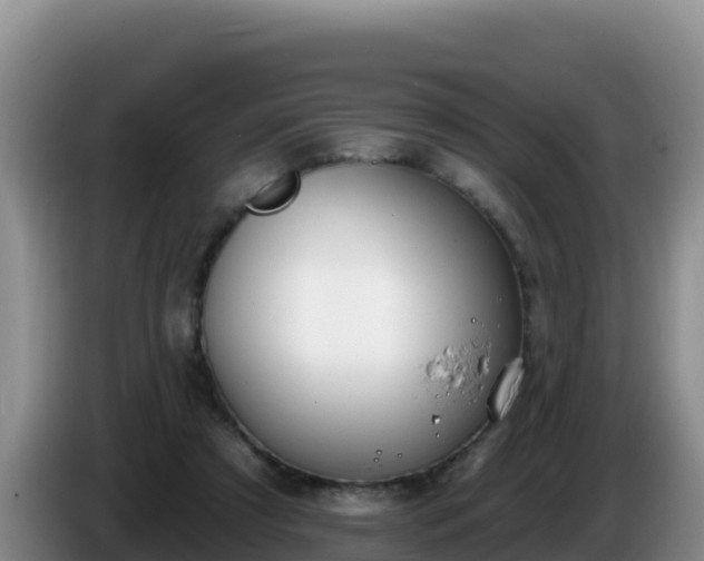 X0000086250305200704051246