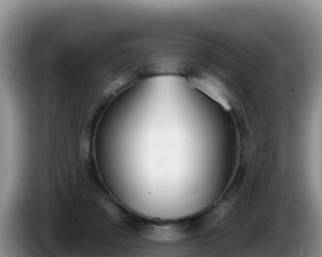 X0000086250309200704051246