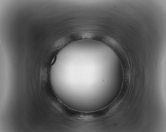 X0000086250311200704051246