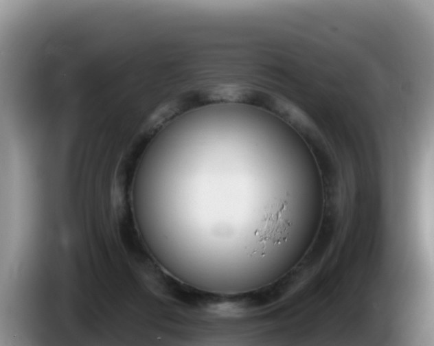 X0000086250312200704051246